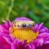 Eclipse ring with Ceylon sapphires in 24ct gold and silver. Size Q - Image 2