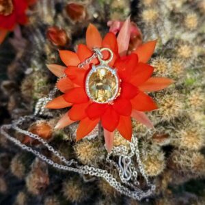 Citrine Medieval Claw necklace, 12mm x 10mm Brazilian citrine, silver and 18ct gold. Length 52cm.