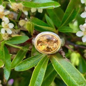 Contessa Ring; 12x10mm Brazilian citrine, silver and 24ct gold. Size R