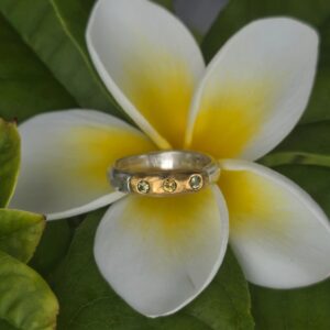 Eclipse Ring; 24ct gold, silver, unheated green and yellow sapphires. Size O