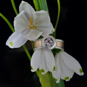 Pacific queen ring, morganite, 9ct gold, and silver. Size N